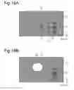 Fig. 11 - Window display device