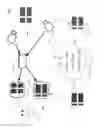 Fig. 02 - Image transforming vision enhancement device