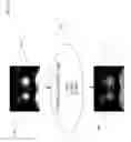 Fig. 12 - Image transforming vision enhancement device