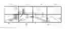 Fig. 01 - Display matrix, display device and associated display method