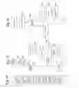 Fig. 14 - Musical instrument, which comprises chord triggers, that are simultaneously triggerable and that are each mapped to a specific chord, which consists of several musical notes of various pitch classes