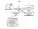 Fig. 05 - Speech synthesis dictionary creating device and method