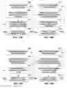 Fig. 16 - Signaling layers for scalable coding of higher order ambisonic audio data
