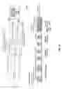 Fig. 26 - Signaling layers for scalable coding of higher order ambisonic audio data
