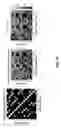 Fig. 11 - Screen related adaptation of HOA content