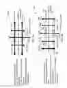 Fig. 14 - Integrated circuit