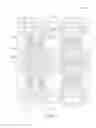 Fig. 06 - Memory array with memory cells arranged in pages