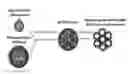 Fig. 01 - FUNCTIONALIZED POROUS POLYMER NANOCOMPOSITES