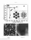 Fig. 04 - FUNCTIONALIZED POROUS POLYMER NANOCOMPOSITES