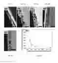 Fig. 05 - FUNCTIONALIZED POROUS POLYMER NANOCOMPOSITES