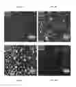 Fig. 07 - FUNCTIONALIZED POROUS POLYMER NANOCOMPOSITES