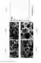 Fig. 10 - FUNCTIONALIZED POROUS POLYMER NANOCOMPOSITES