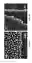 Fig. 06 - PERIODIC NANOSTRUCTURES FOR HIGH ENERGY-DENSITY AND HIGH POWER-DENSITY DEVICES AND SYSTEMS AND USES THEREOF