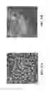 Fig. 16 - PERIODIC NANOSTRUCTURES FOR HIGH ENERGY-DENSITY AND HIGH POWER-DENSITY DEVICES AND SYSTEMS AND USES THEREOF