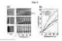 Fig. 06 - Method of fabricating zinc oxide nanostructures using liquid masking layer