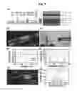Fig. 09 - Method of fabricating zinc oxide nanostructures using liquid masking layer