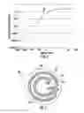 Fig. 04 - Platen assembly