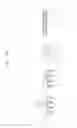 Fig. 109 - Semiconductor devices including bit line contact plug and peripheral transistor