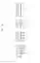 Fig. 113 - Semiconductor devices including bit line contact plug and peripheral transistor
