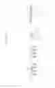 Fig. 138 - Semiconductor devices including bit line contact plug and peripheral transistor
