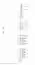 Fig. 15 - Semiconductor devices including bit line contact plug and peripheral transistor