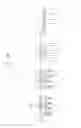 Fig. 35 - Semiconductor devices including bit line contact plug and peripheral transistor