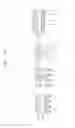 Fig. 75 - Semiconductor devices including bit line contact plug and peripheral transistor