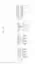 Fig. 87 - Semiconductor devices including bit line contact plug and peripheral transistor