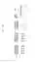 Fig. 93 - Semiconductor devices including bit line contact plug and peripheral transistor