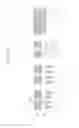 Fig. 95 - Semiconductor devices including bit line contact plug and peripheral transistor