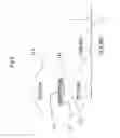Fig. 14 - Bonding process for a chip bonding to a thin film substrate