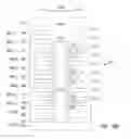 Fig. 41 - Apparatuses and methods for forming multiple decks of memory cells