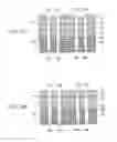 Fig. 08 - METHOD FOR MANUFACTURING SEMICONDUCTOR DEVICE