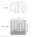 Fig. 13 - METHOD FOR MANUFACTURING SEMICONDUCTOR DEVICE