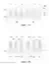 Fig. 15 - High mobility devices with anti-punch through layers and methods of forming same