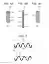 Fig. 05 - Manufacturing method for piezoelectric ceramics