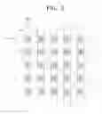 Fig. 03 - Method of fabricating a variable resistance memory device