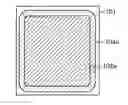 Fig. 01 - Sealed structure, light-emitting device, electronic device, and lighting device
