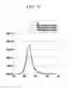 Fig. 06 - Organic light emitting diode display