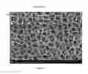 Fig. 06 - High surface area anode with volume expansion features