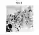 Fig. 08 - ELECTRODE CATALYST