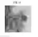Fig. 10 - ELECTRODE CATALYST
