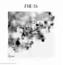 Fig. 14 - ELECTRODE CATALYST