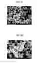Fig. 02 - Porous carbon catalyst, method for producing same, electrode and battery