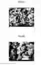 Fig. 03 - Porous carbon catalyst, method for producing same, electrode and battery