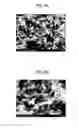 Fig. 05 - Porous carbon catalyst, method for producing same, electrode and battery