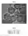 Fig. 06 - Porous carbon catalyst, method for producing same, electrode and battery