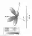 Fig. 11 - Multiple input loop antenna