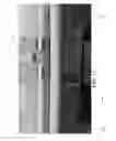 Fig. 13 - Patch antenna-based wideband antenna system