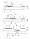 Fig. 05 - BRACKET FOR SECURING ITEMS OF FURNITURE WITHOUT TOOLS OR FASTENERS